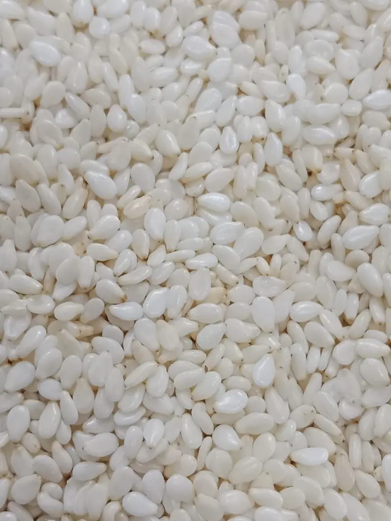 Premium Hulled Sesame Seeds - Agriculture by Quraysh Impex
